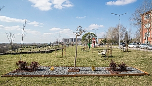 BİNLERCE FİDAN TOPRAKLA BULUŞTU 