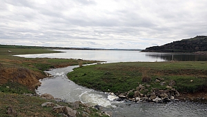 MERİÇ NEHRİ'NİN SUYU ÇELTİK ÜRETİCİSİNE CAN SUYU OLDU 