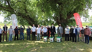 ÜRETİCİLERE YÜZDE 75 HİBE DESTEĞİYLE KURU FASULYE TOHUMU DAĞITILDI