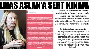 ELMAS ASLAN’A SERT KINAMA