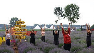 LAVANTA TARLASINDA YOGA