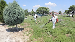 MEZARLIKLAR İLAÇLANDI 
