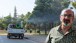 DANTEL BÖCEKLER 3 GÜN SONRA ORTADAN KALKACAK