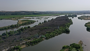 MERİÇ NEHRİ'NDE BULUNAN ADACIKTA YANGIN 