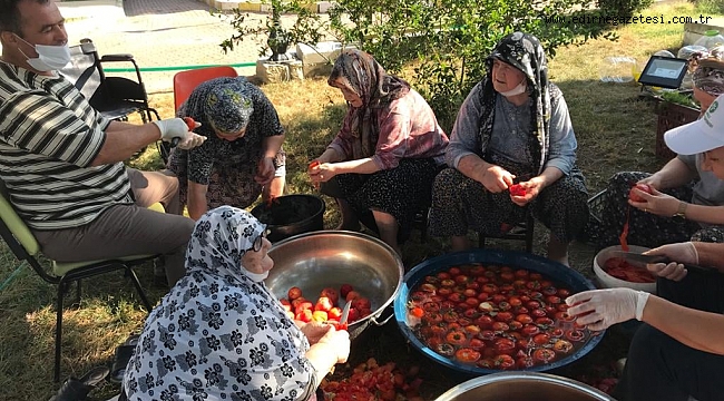 KENDİLERİ YETİŞTİRDİ, KENDİLERİ HASAT ETTİ