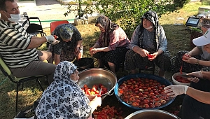 KENDİLERİ YETİŞTİRDİ, KENDİLERİ HASAT ETTİ 