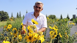 KURAKLIĞA DAYANIKLI TÜRLER GELİŞTİRİLECEK 