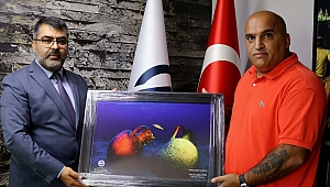 SAROS’A DALIŞ İÇİN 200 BİN ZİYARETÇİ BEKLENİYOR
