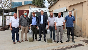 EDİRNE’DE GÖLETLER BALIKLANDIRILIYOR