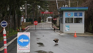GÖÇ HAREKETLİLİĞİNE KARŞI TEYAKKUZA GEÇİLDİ