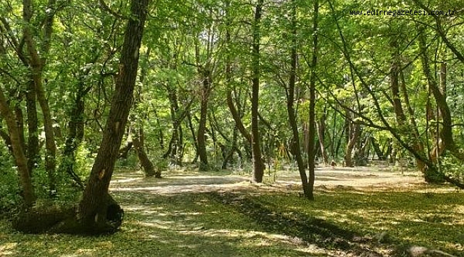 ORMANLARA GİRİŞ YASAĞI UZATILDI