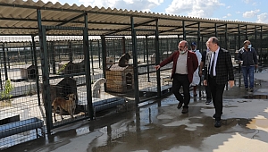 BAŞKAN GÜRKAN, “SOKAK CANLARI BİZE EMANET”