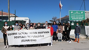 LİSE ÖĞRENCİLERİ HAYVANLAR İÇİN KULÜBELER İNŞA ETTİ