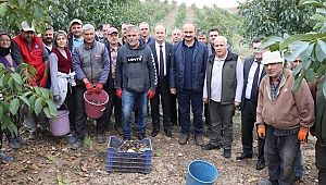 TÜRKİYE'DE TARLA SINIRLARI NEDENİYLE BÜYÜK BİR ALAN TARIMDA KULLANILAMIYOR