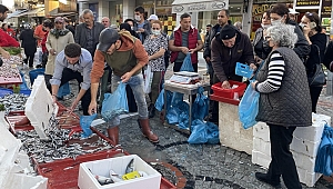 UCUZ HAMSİ KUYRUĞU