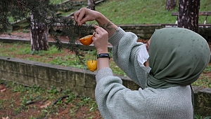 BU PROJE KUŞLAR İÇİN