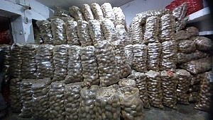 PATATES’İN KİLOSU 9 TL’YE ÇIKACAK