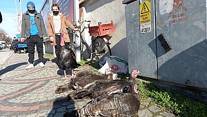 HİNDİ SATIP, EĞİTİM MASRAFLARINI KARŞILIYOR