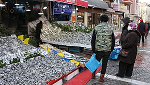 SOĞUK HAVA BALIK FİYATLARINI ETKİLEDİ 