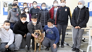 SOKAK KÖPEĞİ “PELE” ÖĞRENCİLERİN MASKOTU OLDU