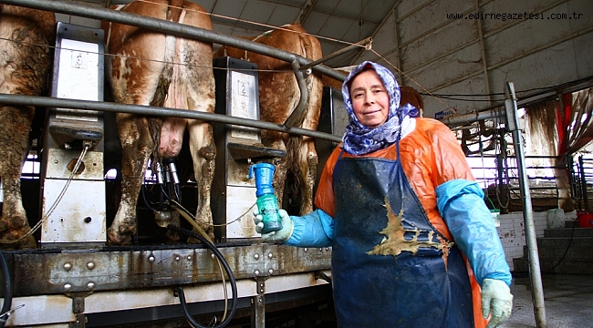 ÇİFTLİĞİN KAHRAMANLARI ERKEKLERE TAŞ ÇIKARTIYOR