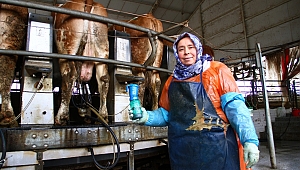 ÇİFTLİĞİN KAHRAMANLARI ERKEKLERE TAŞ ÇIKARTIYOR