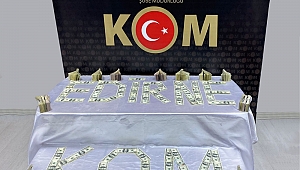 SAHTE 138 BİN 250 DOLAR ELE GEÇİRİLDİ 