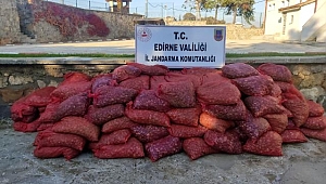 BİR TON KUM MİDYESİ ELE GEÇİRİLDİ