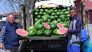 KARPUZDA YARIM VE 4 ÇEYREK DÖNEMİ
