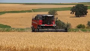 EDİRNE'DE ARPA HASADI VERİMLİ DEVAM EDİYOR