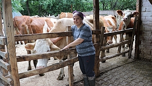 GENÇ ÇİFTÇİ PROJESİNDEN FAYDALANDI