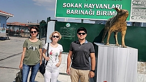 SOKAK HAYVANLARI BARINAĞI ZİYARET EDİLDİ 