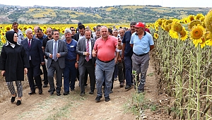 ÇOK ÜRKÜTÜCÜ BİR TABLO YOK, AYÇİÇEĞİNDE DÜŞME BEKLEMİYORUZ