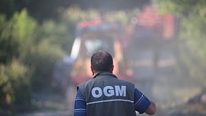 EDİRNE’DE ÇIKAN ORMAN YANGININA MÜDAHALE EDİLİYOR