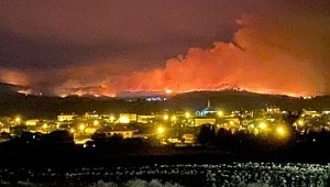 MERİÇ NEHRİ BOYUNDAKİ YANGIN 6 GÜNDÜR SÜRÜYOR