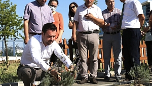 LAVANTA YOLU OLUŞTURULACAK