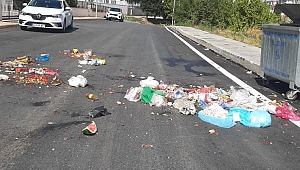 ÇÖPLERİ ETRAFA SAÇAN KİŞİ HAKKINDA SUÇ DUYURUSU