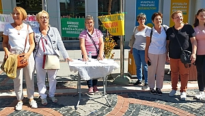 ‘SÖĞÜTLÜK KENT ORMANI MİLLET BAHÇESİ OLMASIN’