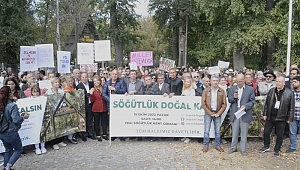BU GÜZELLİK YOK OLMASIN, “SÖĞÜTLÜK DOĞAL KALSIN”