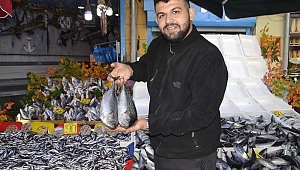 HAMSİ TEZGAH SÜSÜ OLDU 