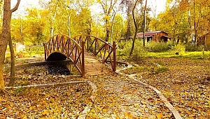 SÖĞÜTLÜĞÜN “MİLLET BAHÇESİ” YAPILMASINA İZİN VERMEYELİM