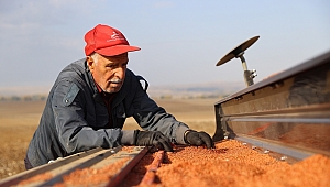 BUĞDAY EKİMİ BAŞLADI