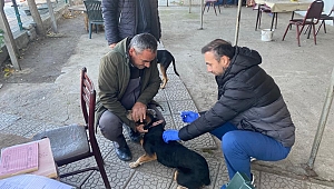 EDİRNE’DE KUDUZ AŞISI SEFERBERLİĞİ