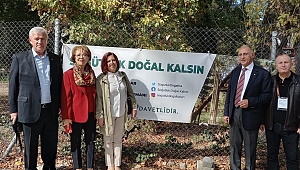 SÖĞÜTLÜK YAPAY ALANA DÖNÜŞTÜRÜLMESİN