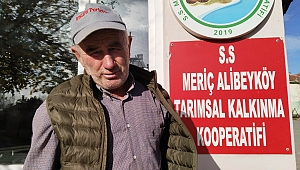 YER FISTIĞINDAN YAĞ ÜRETİYORLAR