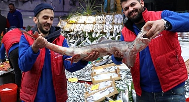 BALIKÇILARIN KARADENİZ'DE YAKALADIĞI KÖPEK BALIĞI PAZARDA SERGİLENİYOR