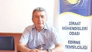 GIDADA GİZLİ TEHLİKE PESTİSİT