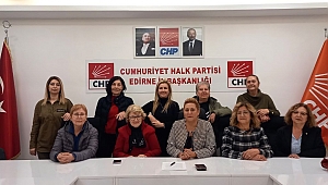 KADINLARIN SİYASETTE ‘EKSİK TEMSİL’ EDİLMELERİ BİR DEMOKRASİ SORUNUDUR