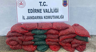 KUM MİDYESİ İLE YAKALANAN 2 KİŞİYE 297 BİN LİRA CEZA