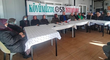 OSB PROJESİNE DANIŞTAY'DAN 'İPTAL' KARARI